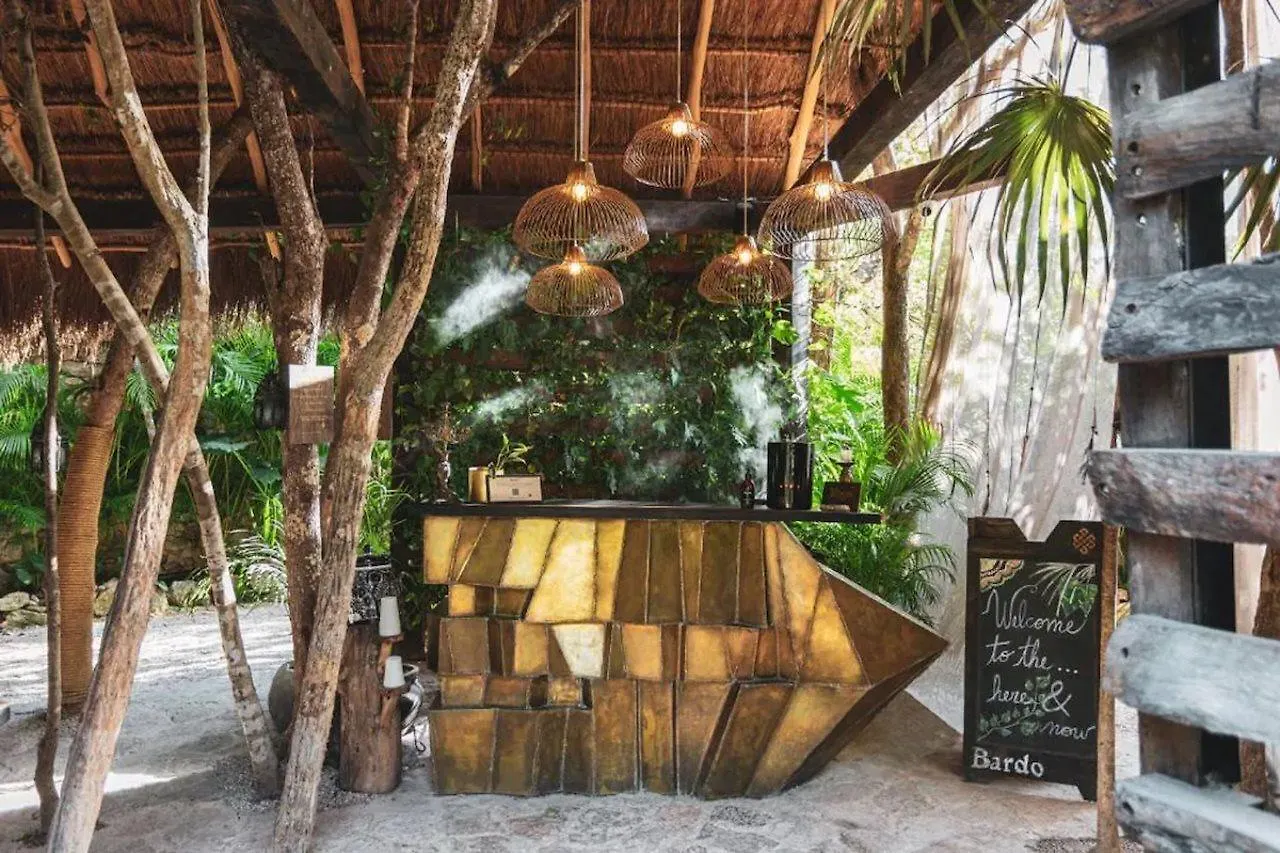 Hotel Bardo Tulum Meksika